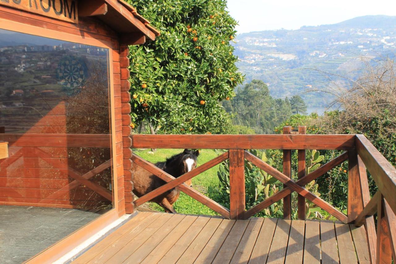 Baião Quinta Das Quintas & Spa מראה חיצוני תמונה