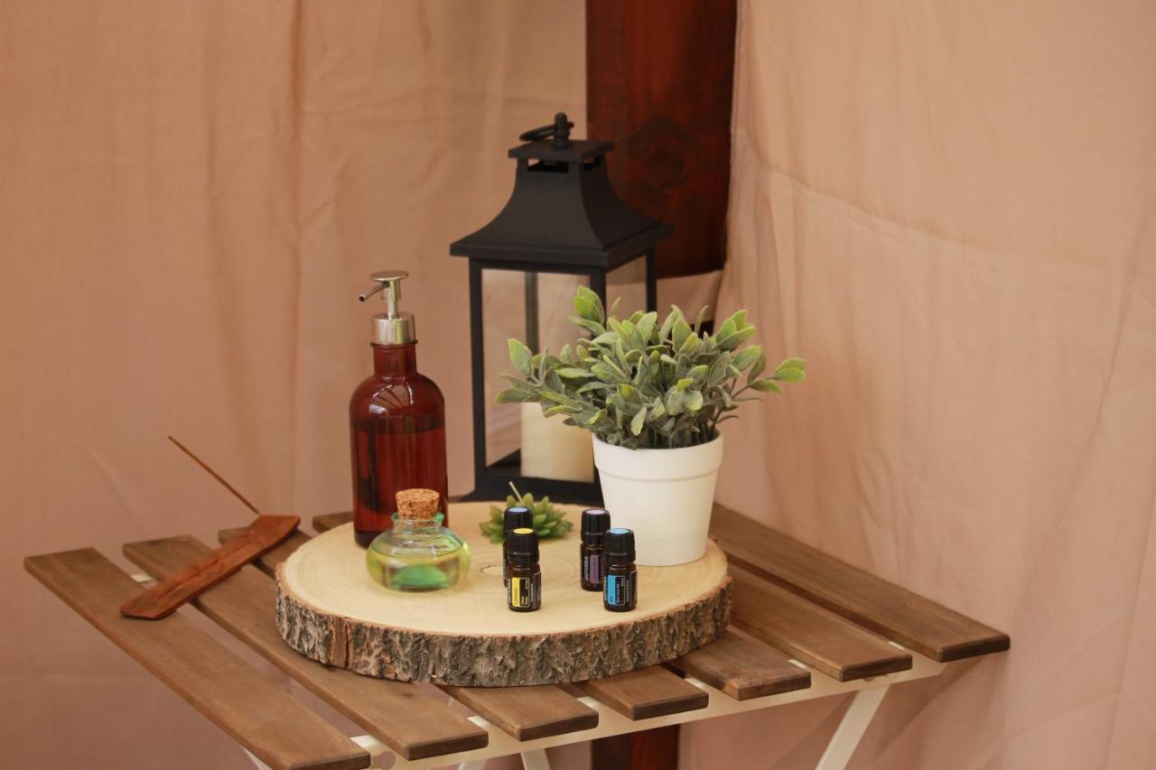 Baião Quinta Das Quintas & Spa מראה חיצוני תמונה