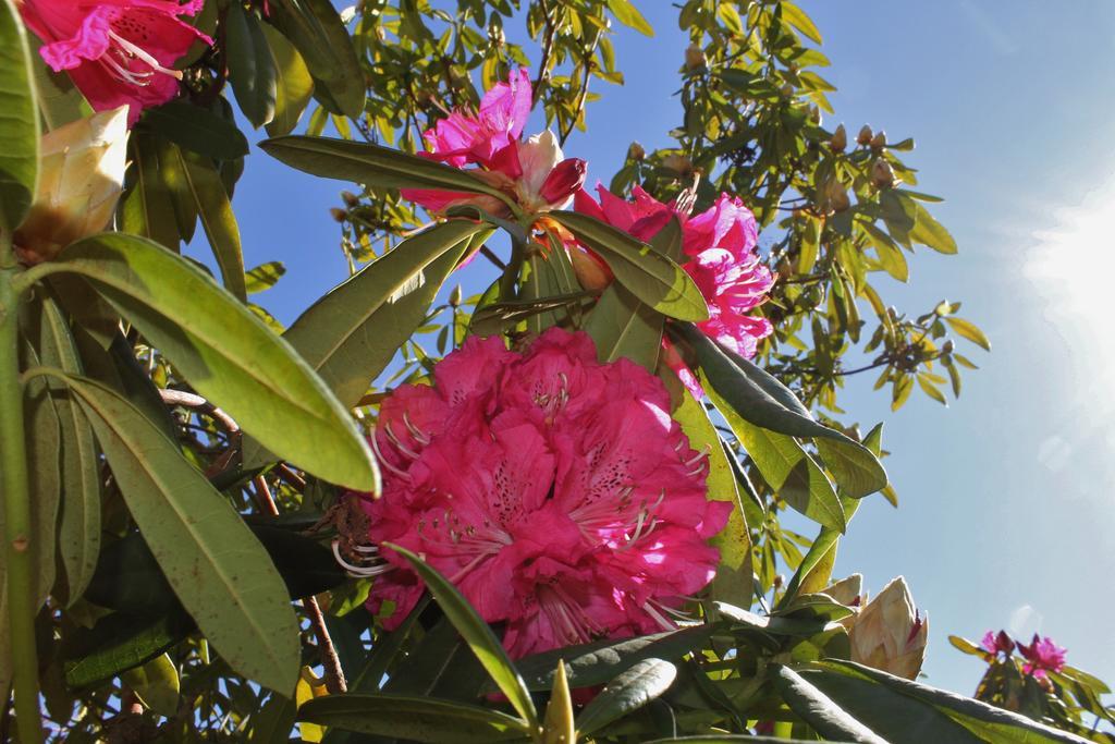 Baião Quinta Das Quintas & Spa מראה חיצוני תמונה