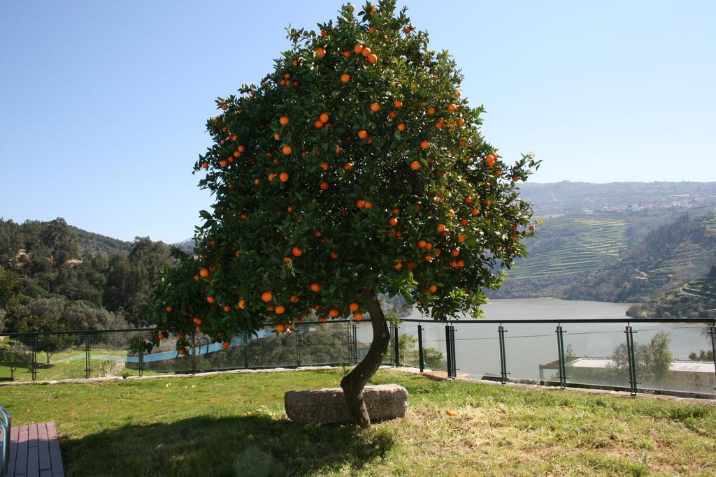 Baião Quinta Das Quintas & Spa מראה חיצוני תמונה