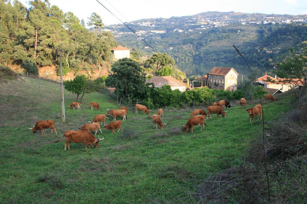 Baião Quinta Das Quintas & Spa מראה חיצוני תמונה